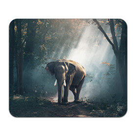 Коврик прямоугольный с принтом Слон в лесу в Новосибирске, натуральный каучук | размер 230 х 185 мм; запечатка лицевой стороны | африка | африканский | бивни | большой | гигант джунгли | зоопарк | индийский | индия | лесной великан | мамонт | огромный | саванна | сафари | серый | слон | слоненок | слониха | стадо | уши | хобот