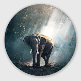 Коврик круглый с принтом Слон в лесу в Новосибирске, резина и полиэстер | круглая форма, изображение наносится на всю лицевую часть | африка | африканский | бивни | большой | гигант джунгли | зоопарк | индийский | индия | лесной великан | мамонт | огромный | саванна | сафари | серый | слон | слоненок | слониха | стадо | уши | хобот