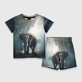 Детский костюм с шортами 3D с принтом Слон в лесу в Новосибирске,  |  | африка | африканский | бивни | большой | гигант джунгли | зоопарк | индийский | индия | лесной великан | мамонт | огромный | саванна | сафари | серый | слон | слоненок | слониха | стадо | уши | хобот