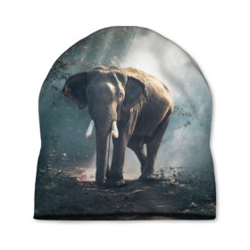 Шапка 3D с принтом Слон в лесу в Новосибирске, 100% полиэстер | универсальный размер, печать по всей поверхности изделия | африка | африканский | бивни | большой | гигант джунгли | зоопарк | индийский | индия | лесной великан | мамонт | огромный | саванна | сафари | серый | слон | слоненок | слониха | стадо | уши | хобот