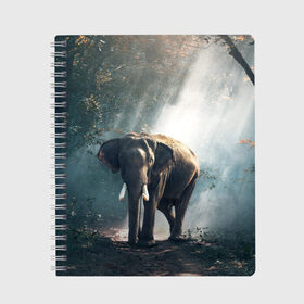 Тетрадь с принтом Слон в лесу в Новосибирске, 100% бумага | 48 листов, плотность листов — 60 г/м2, плотность картонной обложки — 250 г/м2. Листы скреплены сбоку удобной пружинной спиралью. Уголки страниц и обложки скругленные. Цвет линий — светло-серый
 | Тематика изображения на принте: африка | африканский | бивни | большой | гигант джунгли | зоопарк | индийский | индия | лесной великан | мамонт | огромный | саванна | сафари | серый | слон | слоненок | слониха | стадо | уши | хобот
