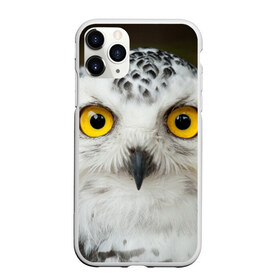 Чехол для iPhone 11 Pro матовый с принтом Белый филин в Новосибирске, Силикон |  | Тематика изображения на принте: глаза | клюв | когти | крылья | лес | летать | мудрая | мудрость | неясыть | ночная | ночь | охота | перья | полярная | почтовая | птица | серая | сова | совенок | сон | сыч | умная | филин | хищник