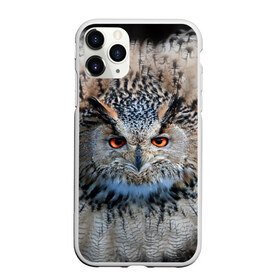 Чехол для iPhone 11 Pro Max матовый с принтом Сова в Новосибирске, Силикон |  | глаза | клюв | когти | крылья | лес | летать | мудрая | мудрость | неясыть | ночная | ночь | охота | перья | полярная | почтовая | птица | серая | сова | совенок | сон | сыч | умная | филин | хищник