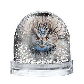 Снежный шар с принтом Сова в Новосибирске, Пластик | Изображение внутри шара печатается на глянцевой фотобумаге с двух сторон | глаза | клюв | когти | крылья | лес | летать | мудрая | мудрость | неясыть | ночная | ночь | охота | перья | полярная | почтовая | птица | серая | сова | совенок | сон | сыч | умная | филин | хищник