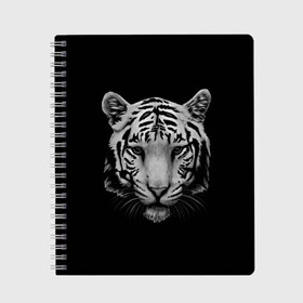 Тетрадь с принтом Тигр в Новосибирске, 100% бумага | 48 листов, плотность листов — 60 г/м2, плотность картонной обложки — 250 г/м2. Листы скреплены сбоку удобной пружинной спиралью. Уголки страниц и обложки скругленные. Цвет линий — светло-серый
 | Тематика изображения на принте: белый тигр | кошка | тигр