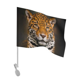 Флаг для автомобиля с принтом Jaguar в Новосибирске, 100% полиэстер | Размер: 30*21 см | глаза | дикая кошка | кошка | леопард | сафари | хищник | ягуар