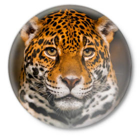 Значок с принтом Jaguar в Новосибирске,  металл | круглая форма, металлическая застежка в виде булавки | глаза | дикая кошка | кошка | леопард | сафари | хищник | ягуар