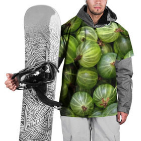 Накидка на куртку 3D с принтом Крыжовник в Новосибирске, 100% полиэстер |  | Тематика изображения на принте: еда | зеленый | крыжовник | растения | текстура | фрукты | ягоды