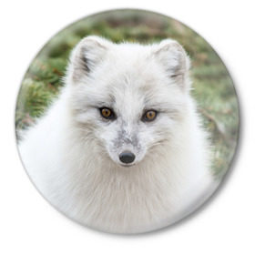 Значок с принтом White Fox в Новосибирске,  металл | круглая форма, металлическая застежка в виде булавки | fox | red | лиса | лисенок | рыжая