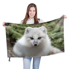 Флаг 3D с принтом White Fox в Новосибирске, 100% полиэстер | плотность ткани — 95 г/м2, размер — 67 х 109 см. Принт наносится с одной стороны | fox | red | лиса | лисенок | рыжая