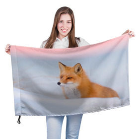 Флаг 3D с принтом Morning в Новосибирске, 100% полиэстер | плотность ткани — 95 г/м2, размер — 67 х 109 см. Принт наносится с одной стороны | fox | red | лиса | лисенок | рыжая