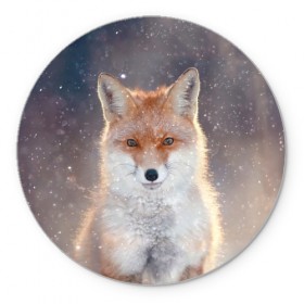 Коврик круглый с принтом Eyes в Новосибирске, резина и полиэстер | круглая форма, изображение наносится на всю лицевую часть | fox | red | лиса | лисенок | рыжая