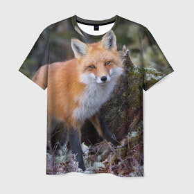 Мужская футболка 3D с принтом Лес в Новосибирске, 100% полиэфир | прямой крой, круглый вырез горловины, длина до линии бедер | Тематика изображения на принте: fox | red | лиса | лисенок | рыжая