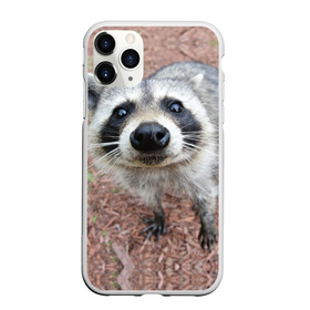 Чехол для iPhone 11 Pro Max матовый с принтом Носик енота в Новосибирске, Силикон |  | барсук | добрый | енот | животное | зверек | зверь | красивый | крошка | милое | милый | полоски серые | полоскун | прикольный | природа | скунс | усатый | фауна | флора | хищник | черный | шерсть