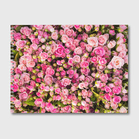 Альбом для рисования с принтом Розовый рай в Новосибирске, 100% бумага
 | матовая бумага, плотность 200 мг. | бутон | лепестки | роза | розовый | розочка | цветок | цветы