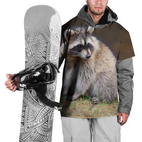 Накидка на куртку 3D с принтом Енот в Новосибирске, 100% полиэстер |  | барсук | добрый | енот | животное | зверек | зверь | красивый | крошка | милое | милый | полоски серые | полоскун | прикольный | природа | скунс | усатый | фауна | флора | хищник | черный | шерсть