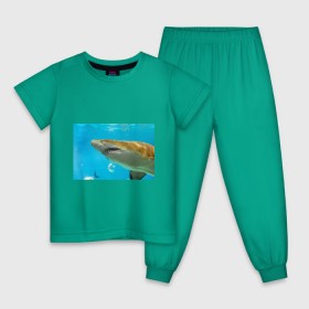 Детская пижама хлопок с принтом Тигровая акула в Новосибирске, 100% хлопок |  брюки и футболка прямого кроя, без карманов, на брюках мягкая резинка на поясе и по низу штанин
 | Тематика изображения на принте: голубое море | океан | рыба