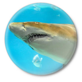 Значок с принтом Тигровая акула в Новосибирске,  металл | круглая форма, металлическая застежка в виде булавки | голубое море | океан | рыба