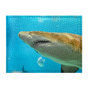 Обложка для студенческого билета с принтом Тигровая акула в Новосибирске, натуральная кожа | Размер: 11*8 см; Печать на всей внешней стороне | голубое море | океан | рыба