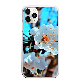 Чехол для iPhone 11 Pro Max матовый с принтом Весна в Новосибирске, Силикон |  | 3d | flower | весна | другие | красивые цветы | красные | лето | поле | полевой цветок | прикольные | природа | текстуры | цветочки | цветы