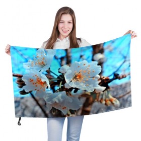Флаг 3D с принтом Весна в Новосибирске, 100% полиэстер | плотность ткани — 95 г/м2, размер — 67 х 109 см. Принт наносится с одной стороны | 3d | flower | весна | другие | красивые цветы | красные | лето | поле | полевой цветок | прикольные | природа | текстуры | цветочки | цветы