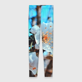 Леггинсы 3D с принтом Весна в Новосибирске, 80% полиэстер, 20% эластан | Эластичный пояс, зауженные к низу, низкая посадка | 3d | flower | весна | другие | красивые цветы | красные | лето | поле | полевой цветок | прикольные | природа | текстуры | цветочки | цветы