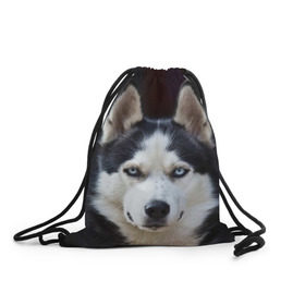 Рюкзак-мешок 3D с принтом Хаски в Новосибирске, 100% полиэстер | плотность ткани — 200 г/м2, размер — 35 х 45 см; лямки — толстые шнурки, застежка на шнуровке, без карманов и подкладки | Тематика изображения на принте: dog | лабрадор | мопс | пес | собака | такса | хаски | щеночек