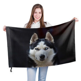 Флаг 3D с принтом Хаски в Новосибирске, 100% полиэстер | плотность ткани — 95 г/м2, размер — 67 х 109 см. Принт наносится с одной стороны | Тематика изображения на принте: dog | лабрадор | мопс | пес | собака | такса | хаски | щеночек