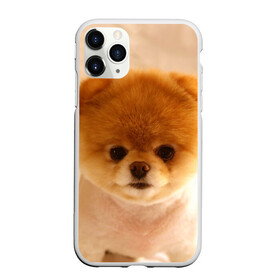 Чехол для iPhone 11 Pro матовый с принтом Пушистик в Новосибирске, Силикон |  | Тематика изображения на принте: dog | пес | померанский | собака | шпиц | щеночек