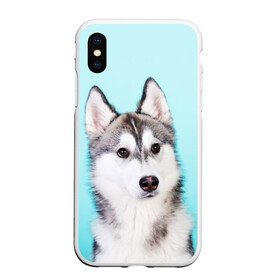 Чехол для iPhone XS Max матовый с принтом Blue в Новосибирске, Силикон | Область печати: задняя сторона чехла, без боковых панелей | dog | бандит | пес | собака | хаски | хаски бандит | щеночек