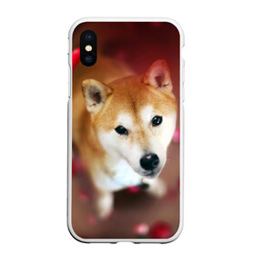 Чехол для iPhone XS Max матовый с принтом Love в Новосибирске, Силикон | Область печати: задняя сторона чехла, без боковых панелей | Тематика изображения на принте: dog | ину | пес | сиба | сиба ину | собака