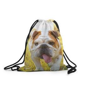 Рюкзак-мешок 3D с принтом Funny Dog в Новосибирске, 100% полиэстер | плотность ткани — 200 г/м2, размер — 35 х 45 см; лямки — толстые шнурки, застежка на шнуровке, без карманов и подкладки | dog | английский бульдог | пес | собака