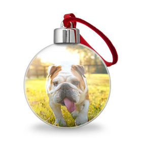 Ёлочный шар с принтом Funny Dog в Новосибирске, Пластик | Диаметр: 77 мм | Тематика изображения на принте: dog | английский бульдог | пес | собака