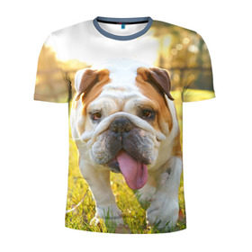 Мужская футболка 3D спортивная с принтом Funny Dog в Новосибирске, 100% полиэстер с улучшенными характеристиками | приталенный силуэт, круглая горловина, широкие плечи, сужается к линии бедра | dog | английский бульдог | пес | собака