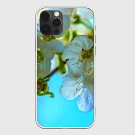 Чехол для iPhone 12 Pro Max с принтом Цветочки на дереве в Новосибирске, Силикон |  | Тематика изображения на принте: 3d | flower | весна | другие | красивые цветы | лето | поле | полевой цветок | прикольные | природа | текстуры | цветочки | цветы