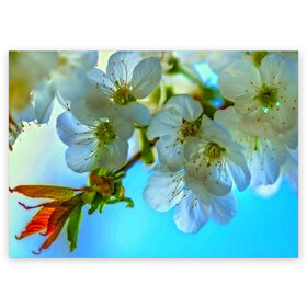 Поздравительная открытка с принтом Цветочки на дереве в Новосибирске, 100% бумага | плотность бумаги 280 г/м2, матовая, на обратной стороне линовка и место для марки
 | Тематика изображения на принте: 3d | flower | весна | другие | красивые цветы | лето | поле | полевой цветок | прикольные | природа | текстуры | цветочки | цветы