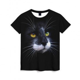 Женская футболка 3D с принтом Кот в Новосибирске, 100% полиэфир ( синтетическое хлопкоподобное полотно) | прямой крой, круглый вырез горловины, длина до линии бедер | животные | кот | котик | милый котик | прикольные картинки