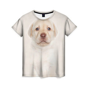 Женская футболка 3D с принтом Лабрадор в Новосибирске, 100% полиэфир ( синтетическое хлопкоподобное полотно) | прямой крой, круглый вырез горловины, длина до линии бедер | dog | labrador | puppy | порода | собака | собачка | щенок
