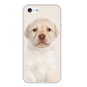 Чехол для iPhone 5/5S матовый с принтом Лабрадор в Новосибирске, Силикон | Область печати: задняя сторона чехла, без боковых панелей | Тематика изображения на принте: dog | labrador | puppy | порода | собака | собачка | щенок