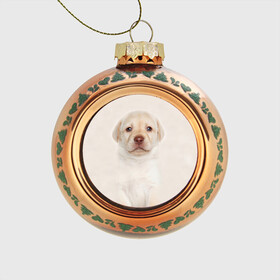 Стеклянный ёлочный шар с принтом Лабрадор в Новосибирске, Стекло | Диаметр: 80 мм | dog | labrador | puppy | порода | собака | собачка | щенок