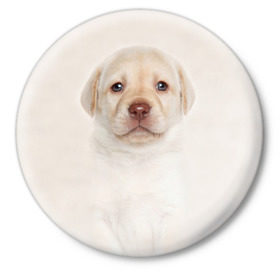 Значок с принтом Лабрадор в Новосибирске,  металл | круглая форма, металлическая застежка в виде булавки | Тематика изображения на принте: dog | labrador | puppy | порода | собака | собачка | щенок