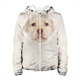 Женская куртка 3D с принтом Лабрадор в Новосибирске, ткань верха — 100% полиэстер, подклад — флис | прямой крой, подол и капюшон оформлены резинкой с фиксаторами, два кармана без застежек по бокам, один большой потайной карман на груди. Карман на груди застегивается на липучку | dog | labrador | puppy | порода | собака | собачка | щенок
