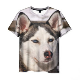 Мужская футболка 3D с принтом Хаски в Новосибирске, 100% полиэфир | прямой крой, круглый вырез горловины, длина до линии бедер | dog | лабрадор | мопс | пес | собака | такса | хаски | щеночек