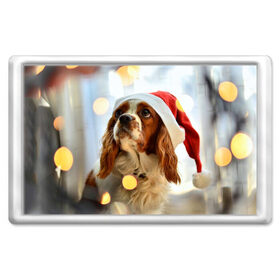 Магнит 45*70 с принтом Рождество в Новосибирске, Пластик | Размер: 78*52 мм; Размер печати: 70*45 | dog | кавалер кинг чарльз спаниель | новый год | пес | рождество | собака