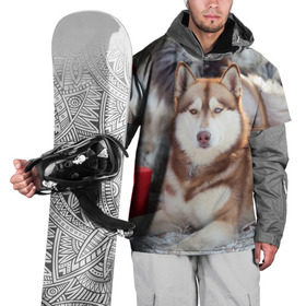 Накидка на куртку 3D с принтом Хаски в Новосибирске, 100% полиэстер |  | dog | лабрадор | мопс | пес | собака | такса | хаски | щеночек