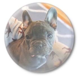 Значок с принтом Мопс в Новосибирске,  металл | круглая форма, металлическая застежка в виде булавки | пес