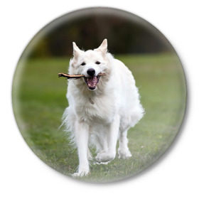 Значок с принтом Палочка в Новосибирске,  металл | круглая форма, металлическая застежка в виде булавки | dog | лабрадор | мопс | пес | собака | такса | хаски | щеночек
