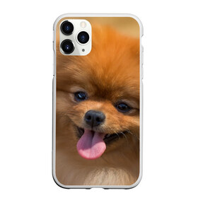 Чехол для iPhone 11 Pro матовый с принтом Милашка в Новосибирске, Силикон |  | Тематика изображения на принте: dog | пес | померанский | собака | шпиц | щеночек