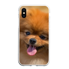 Чехол для iPhone XS Max матовый с принтом Милашка в Новосибирске, Силикон | Область печати: задняя сторона чехла, без боковых панелей | dog | пес | померанский | собака | шпиц | щеночек