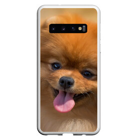Чехол для Samsung Galaxy S10 с принтом Милашка в Новосибирске, Силикон | Область печати: задняя сторона чехла, без боковых панелей | Тематика изображения на принте: dog | пес | померанский | собака | шпиц | щеночек
